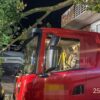 Feuerwehreinsatz Hackenheim: LKW bleibt unter Baum hängen