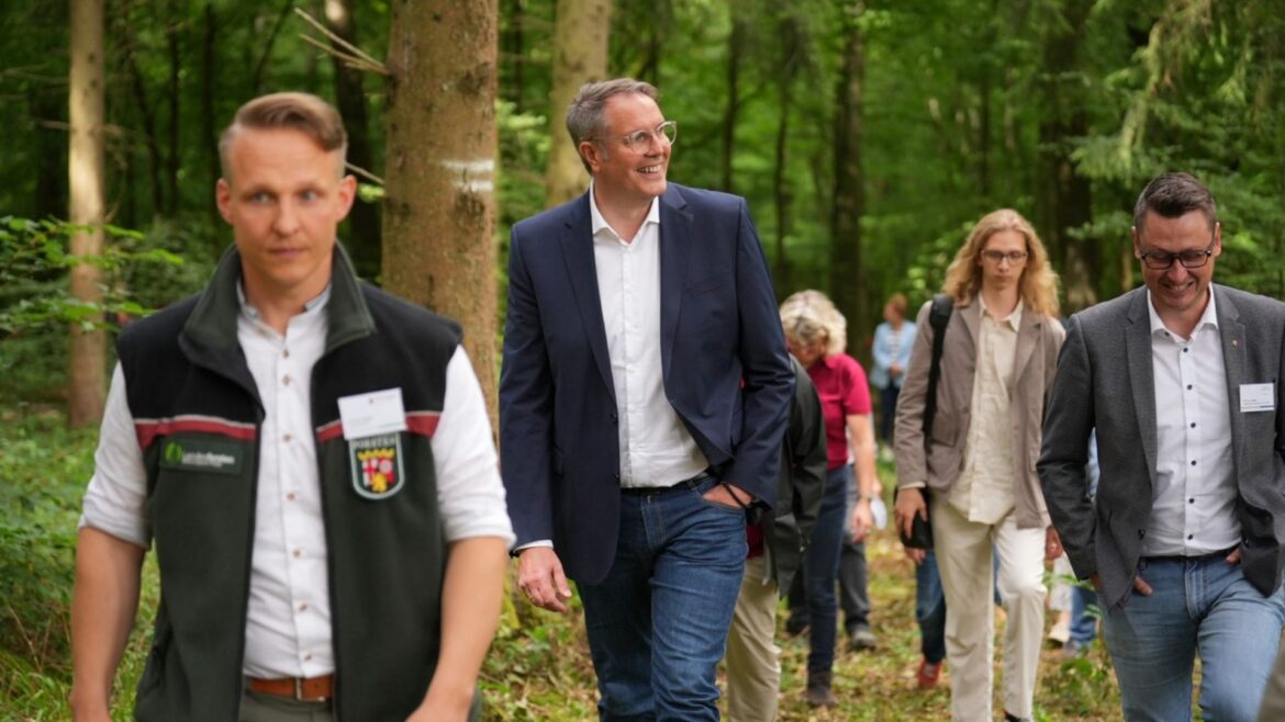 Soonwald Alexander Schweitzer
