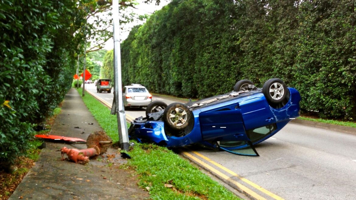 Wildtier Unfall