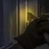 Mehrere Einbrüche in Kirn – Polizei sucht Zeugen