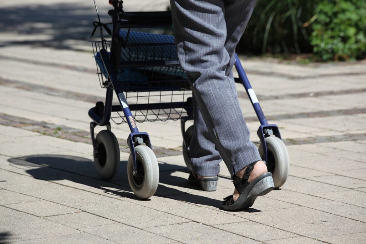 rollator, senior, old human, walker, old, aging, age, fit in old age, seniors, pedestrian, road, rollator, rollator, rollator, rollator, walker, walker, walker, walker, walker