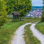 track, way, nature, city, würzburg, wanderlust, landscape, pathway, path, trail, forest, route, road, grass, meadow, travel, franken, bayern, deutschland, germany, hiking, green city, green travel, green road, green path