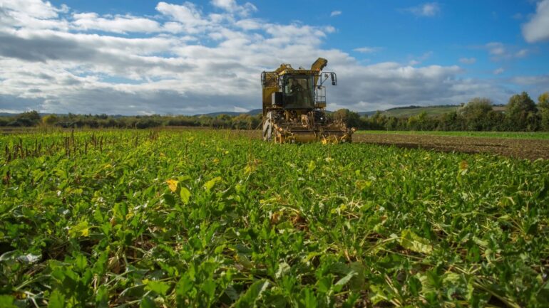 Donnersberger Landwirte Klimahelden