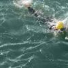 Schwimm-Aktion löst Großeinsatz am Rhein aus