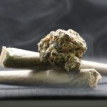cone, bosses, grass, nature, joint, rastaman