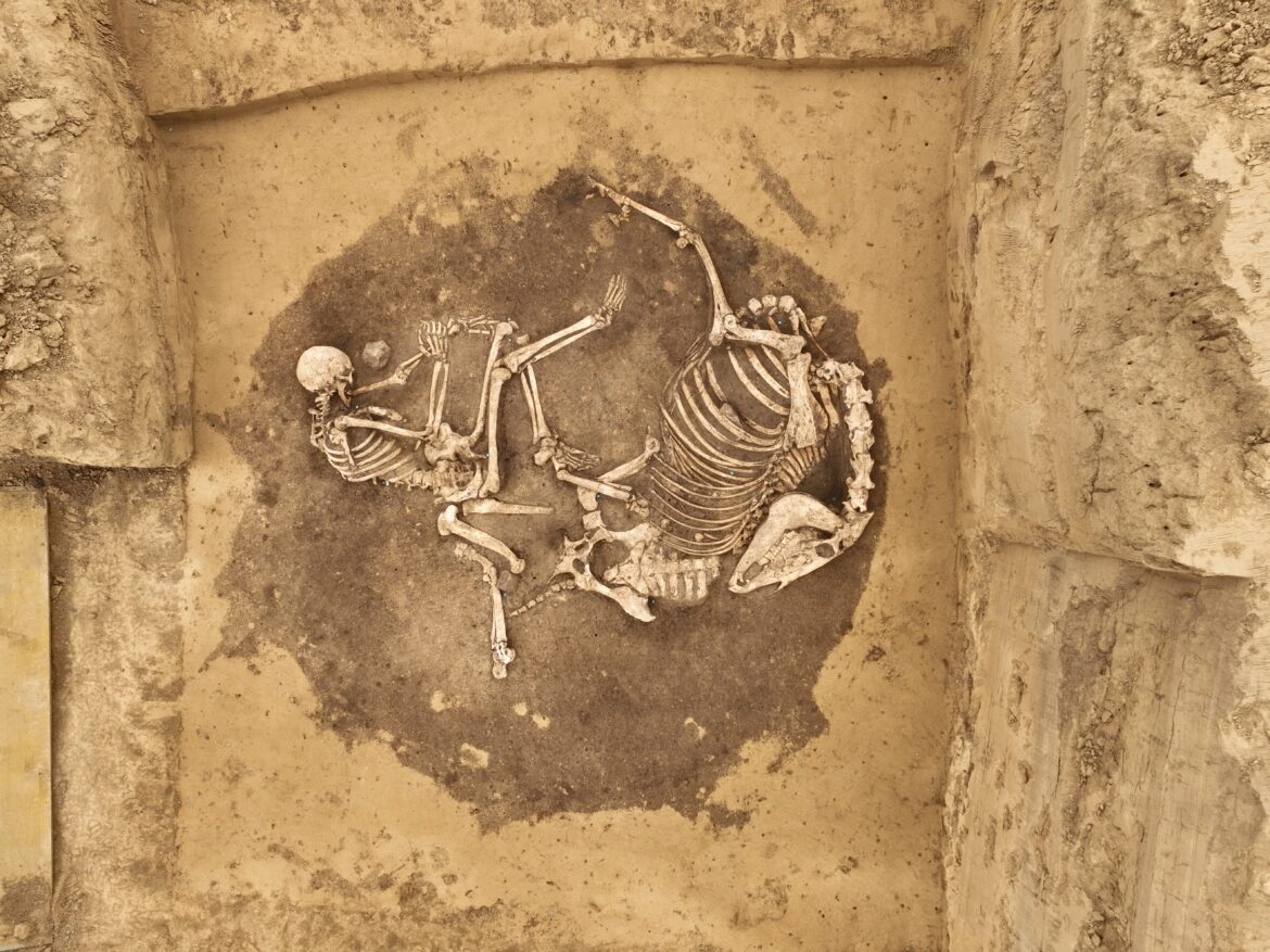  Zwei Startschüsse für Alzey: Feierstunde und Ausgrabungen - Alzey-Worms  Nachrichten