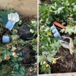 Friedhof Idar-Oberstein Müllproblem