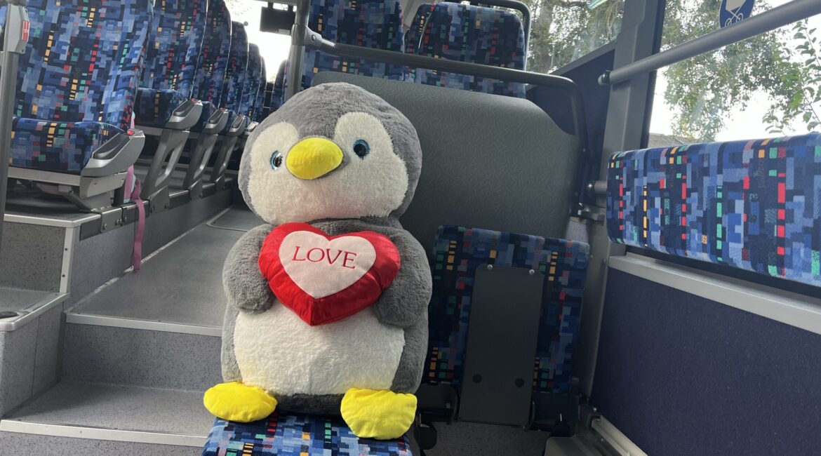  Pilotprojekt Busschule an Grundschule Planig vorgestellt - Bad Kreuznach Themen im Programm  Nachrichten