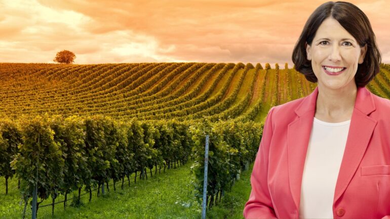 Weininvestitionsförderprogramm Daniela Schmitt