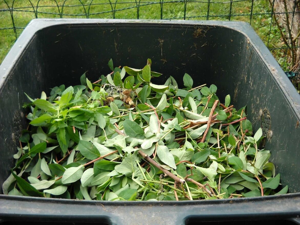 green waste, composting, recycling, green waste, green waste, green waste, green waste, green waste, composting, composting, composting, composting