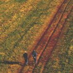 field, stroll, meadow, landscape, autumn, nature