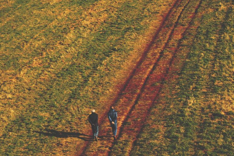 field, stroll, meadow, landscape, autumn, nature