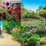 Landesgartenschau Rheinland-Pfalz