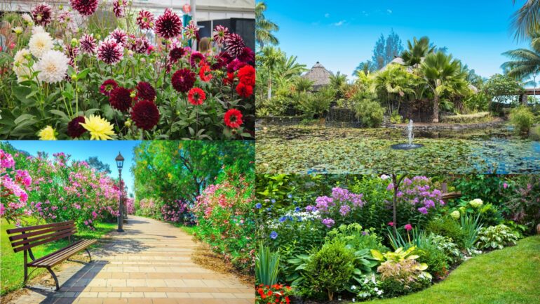 Landesgartenschau Rheinland-Pfalz