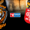 Wrestling Tigers empfangen ASV Mainz II in Bad Kreuznach
