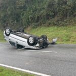 Wildwechsel Unfall