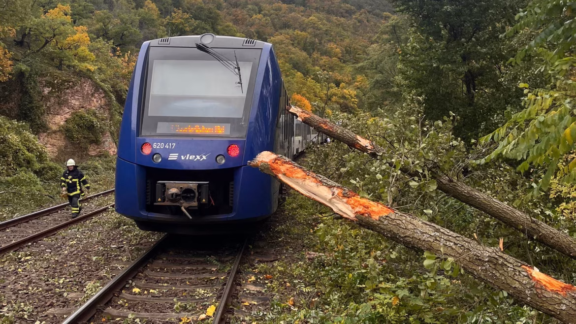 Bad Kreuznach: Zug kollidiert mit umgestürzten Bäumen - Bad Kreuznach Bad Münster am Stein-Ebernburg Blaulicht Nachrichten