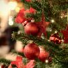 Stadt Bingen sucht Weihnachtsbäume für festliche Plätze