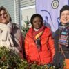 Inner Wheel Club Bingen startet erneut Mistelverkauf für soziale Projekte