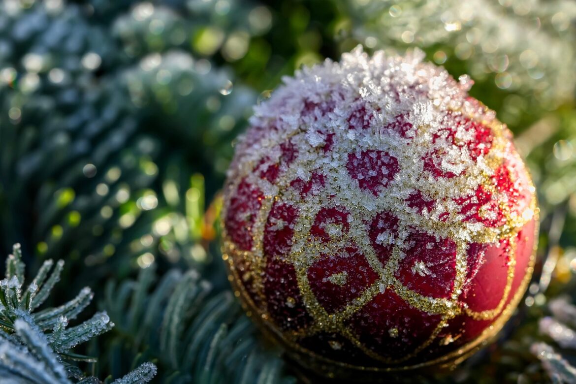 golden, red, glitter, christmas decorations, nature, bullet, christmas, snow, fir tree, winter