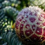 golden, red, glitter, christmas decorations, nature, bullet, christmas, snow, fir tree, winter