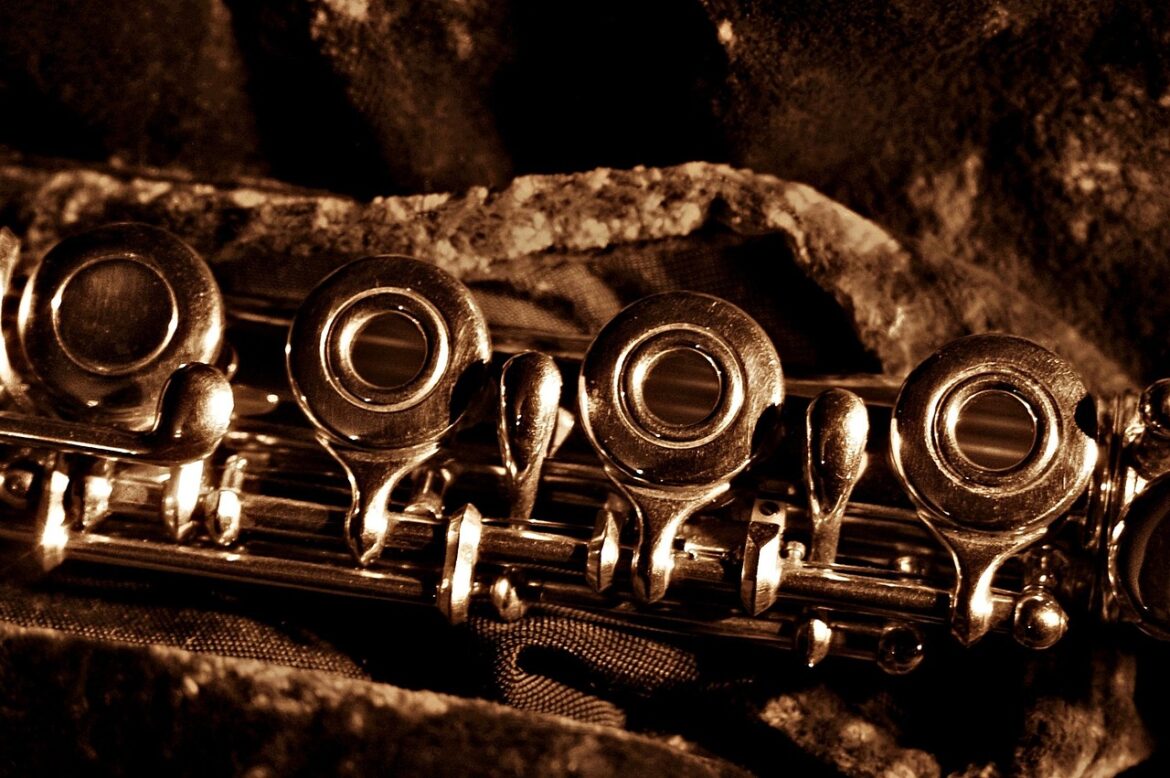 flute, mechanics, ring keyed flute, german flute, sepia, instrument, flute, flute, flute, flute, flute