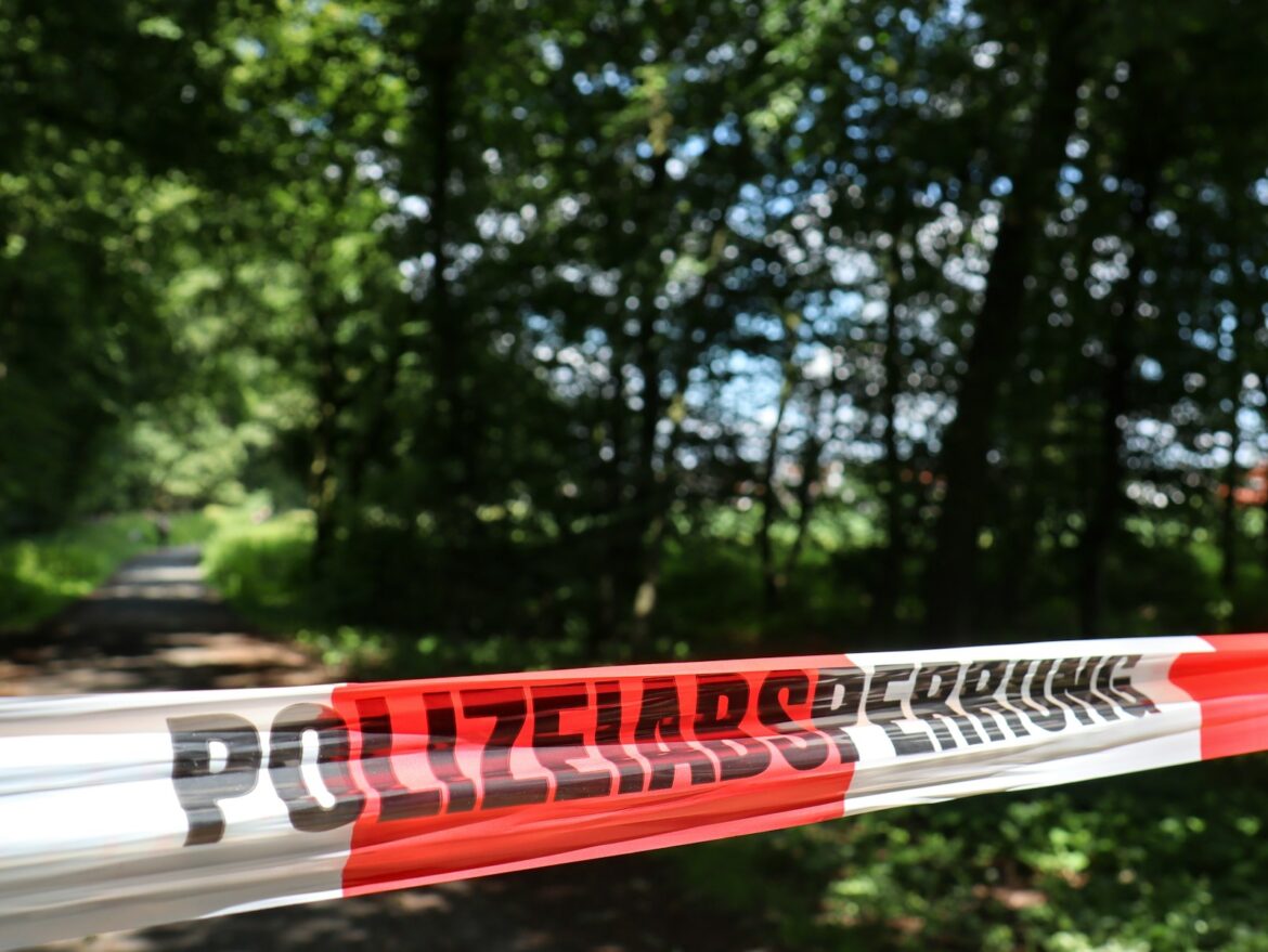 Hitler-Buch aus Museum in Alzey gestohlen