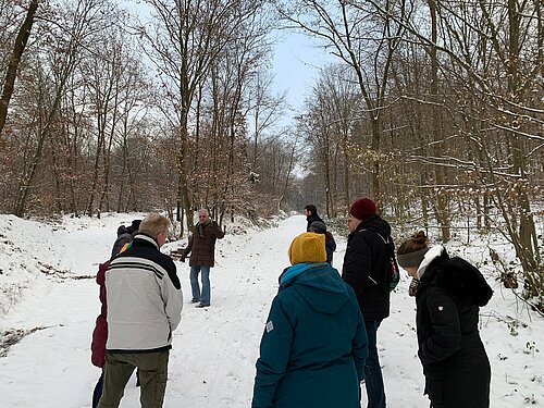 Winter-Kraftorte in Rheinland-Pfalz laden zu ruhigen Momenten ein - Regional Nachrichten
