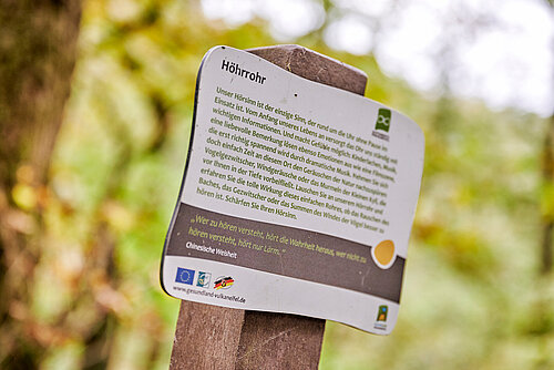 Winter-Kraftorte in Rheinland-Pfalz laden zu ruhigen Momenten ein - Regional Nachrichten