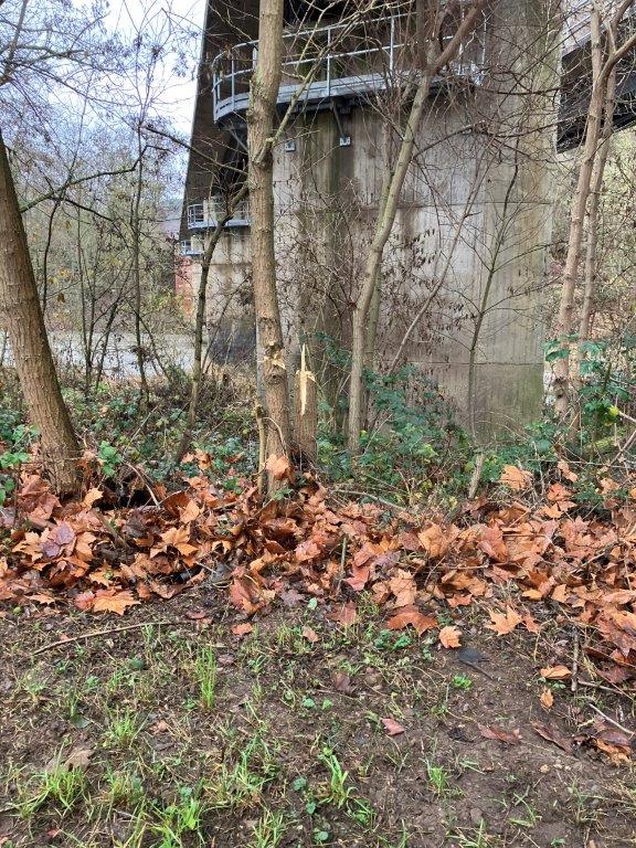  Mutwillige Schäden entlang des Naheuferwegs - Bad Kreuznach  Nachrichten