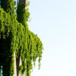 a tall building with trees in front of it