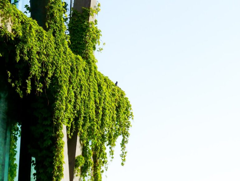 a tall building with trees in front of it