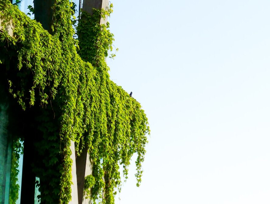 Hintergrund