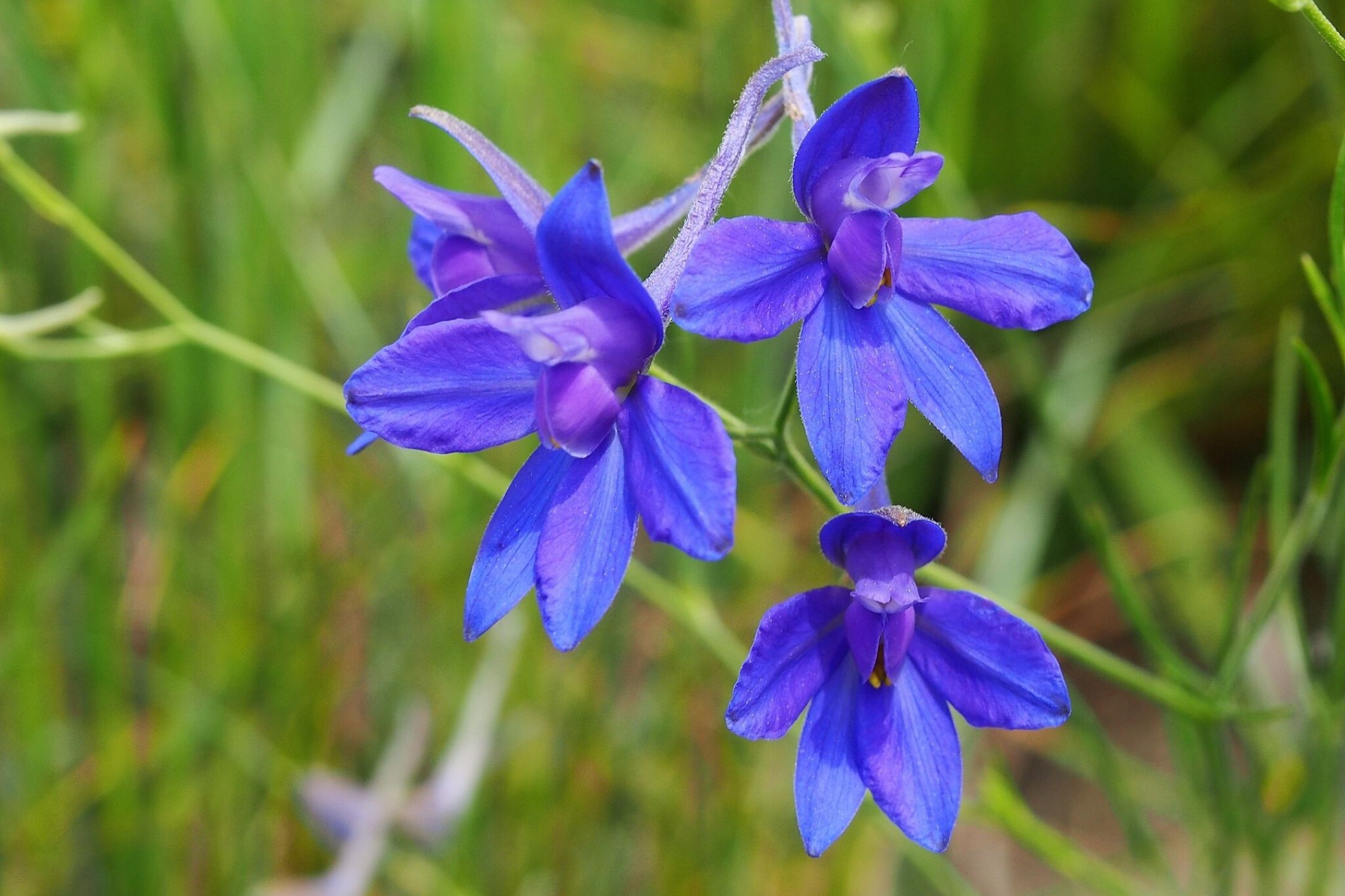  Aktuelle Nachrichten -  Nachrichten