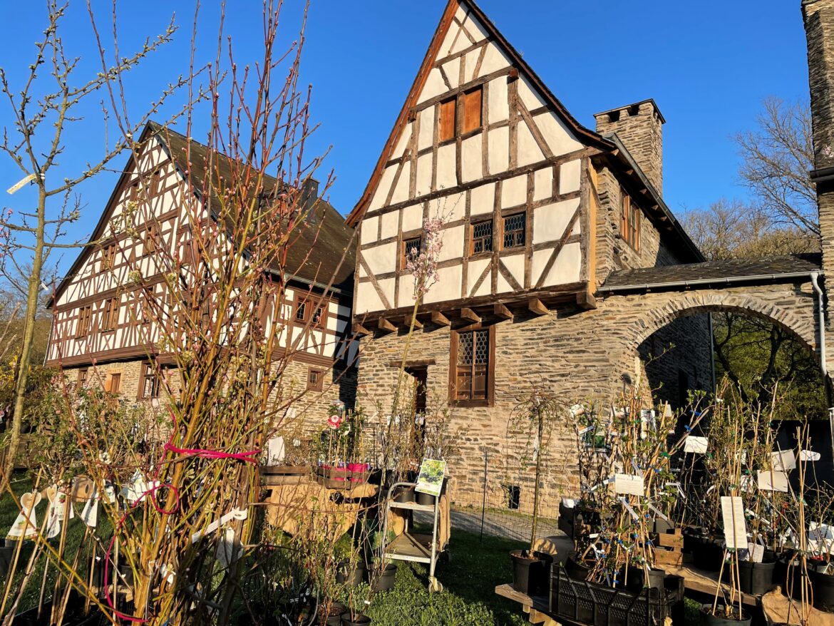 Thomas Soedler Pflanzen vor Haus Zell Merl 73457e1130d55db43b83ca99bbaa9506