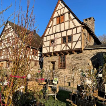 Thomas Soedler Pflanzen vor Haus Zell Merl 73457e1130d55db43b83ca99bbaa9506
