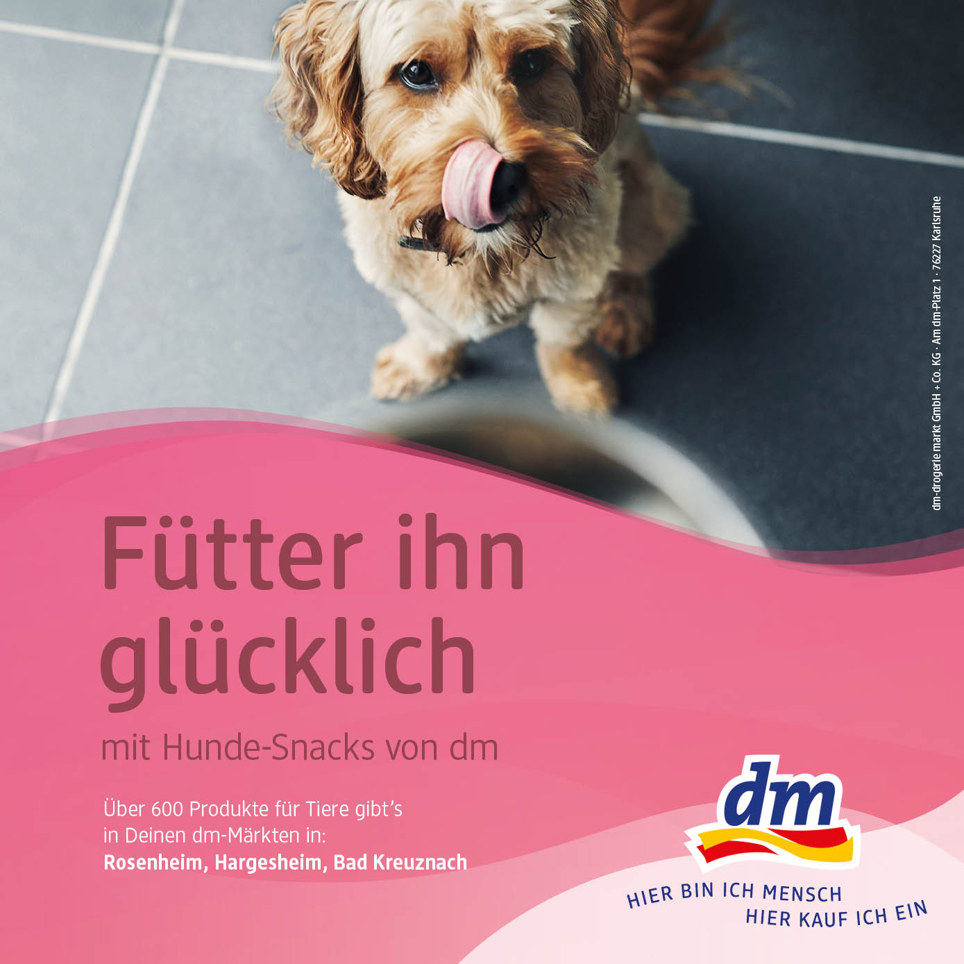 DM Werbeanzeige Mobil