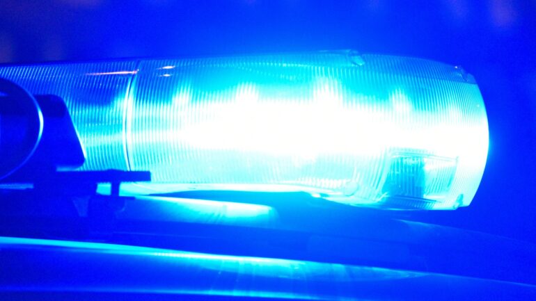 BILD BEITRAG (2)