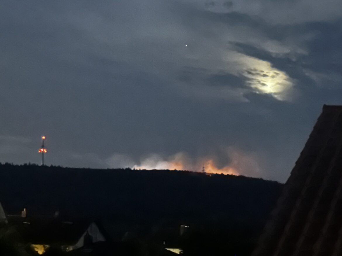 Waldbrand bei Traisen