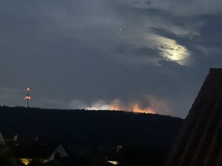 Waldbrand bei Traisen
