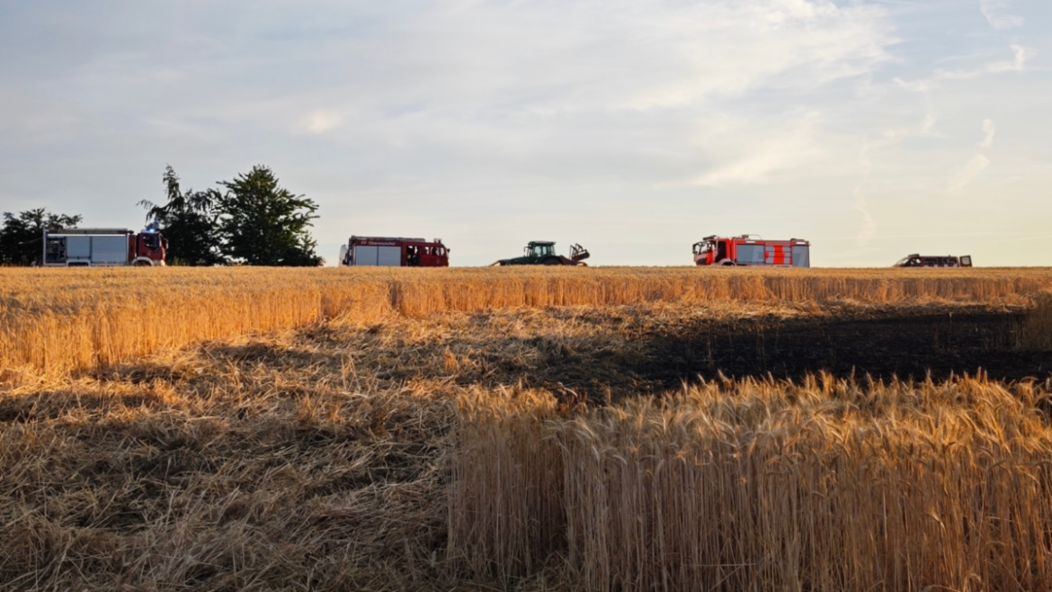 getreidefeld in duchroth in flammen 1200x675