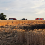 getreidefeld in duchroth in flammen 1200x675