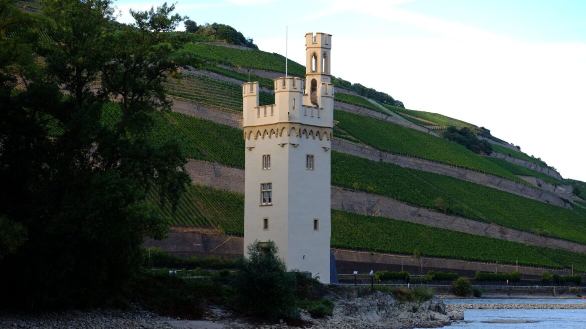 stadt bingen warnt vor spaziergaengen zur maeuseturminsel 1536x864