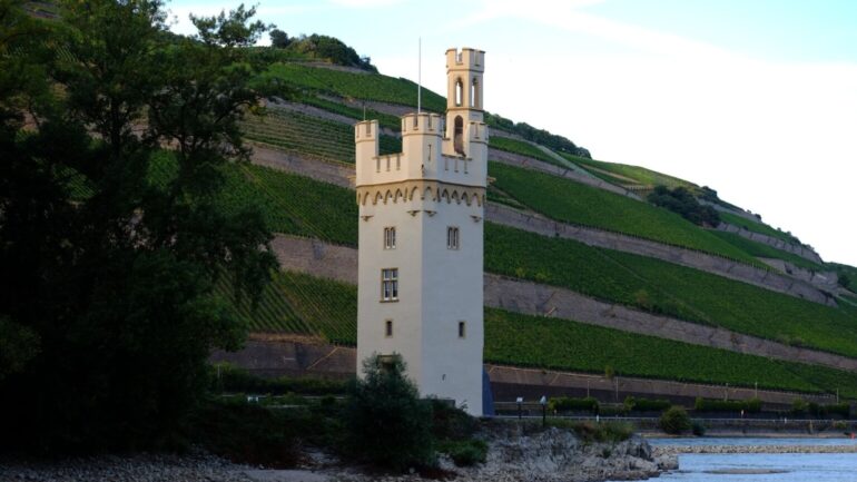 stadt bingen warnt vor spaziergaengen zur maeuseturminsel 1536x864