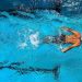 Swimming Swimmer Pool Race Athlete - Elf-Moondance / Pixabay